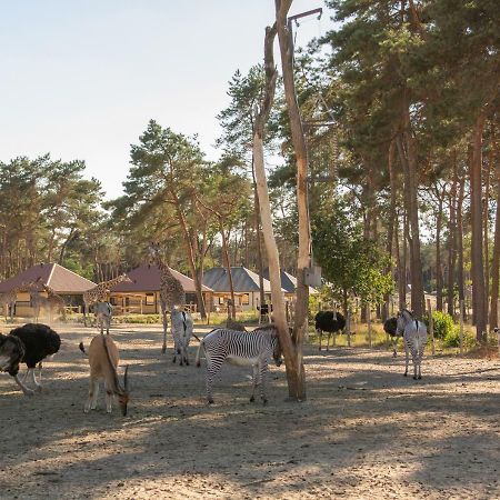 הילווארנבייק Safari Resort Beekse Bergen מראה חיצוני תמונה