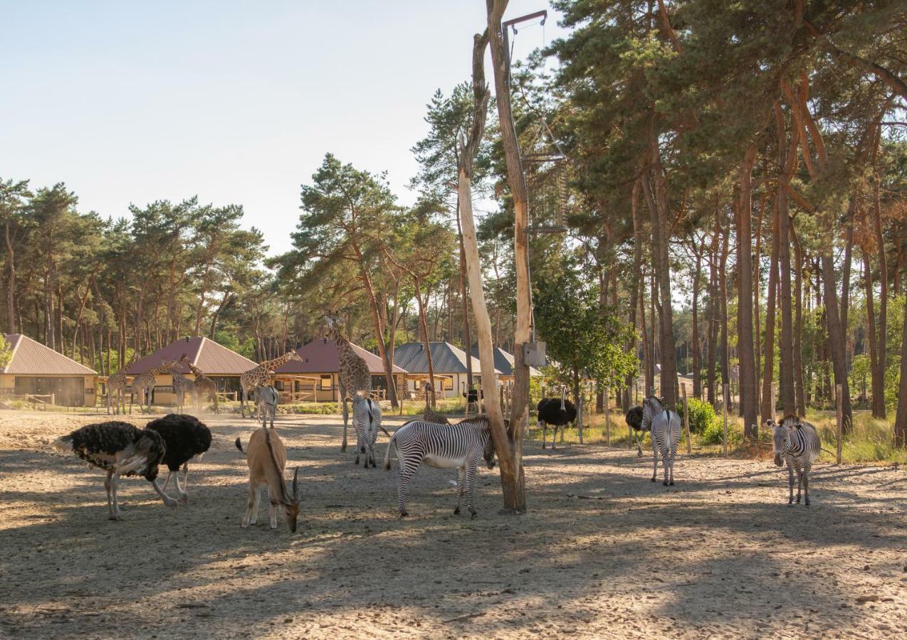 הילווארנבייק Safari Resort Beekse Bergen מראה חיצוני תמונה