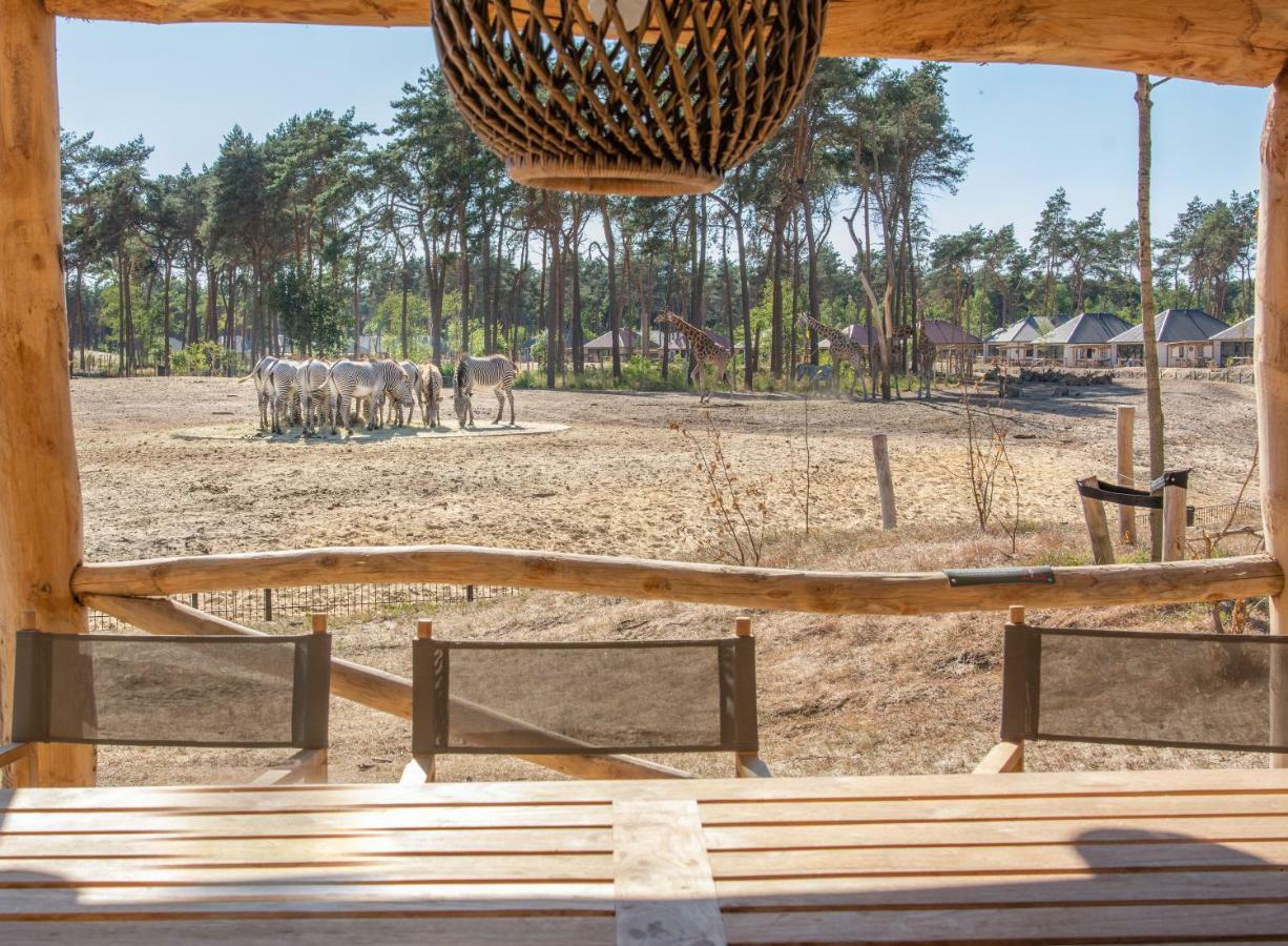 הילווארנבייק Safari Resort Beekse Bergen מראה חיצוני תמונה