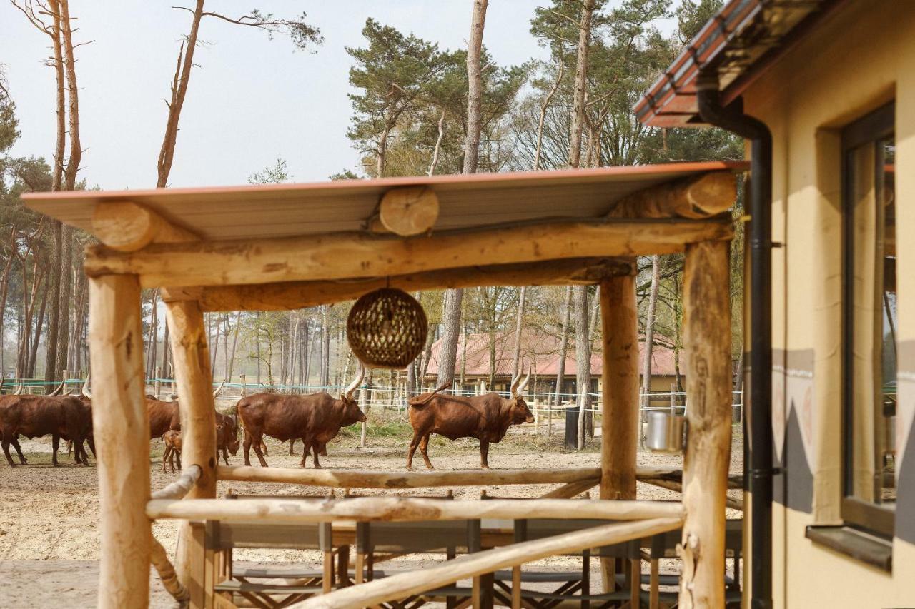הילווארנבייק Safari Resort Beekse Bergen מראה חיצוני תמונה