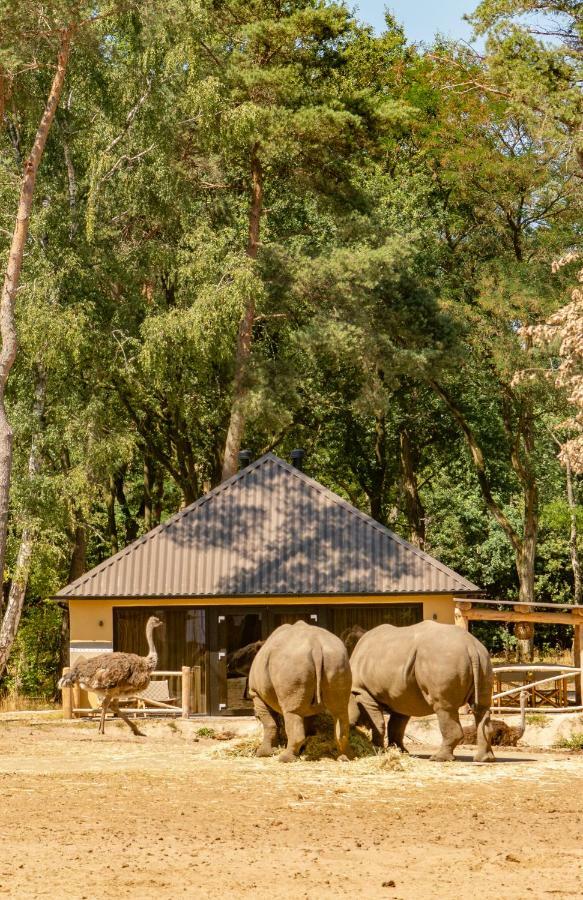 הילווארנבייק Safari Resort Beekse Bergen מראה חיצוני תמונה